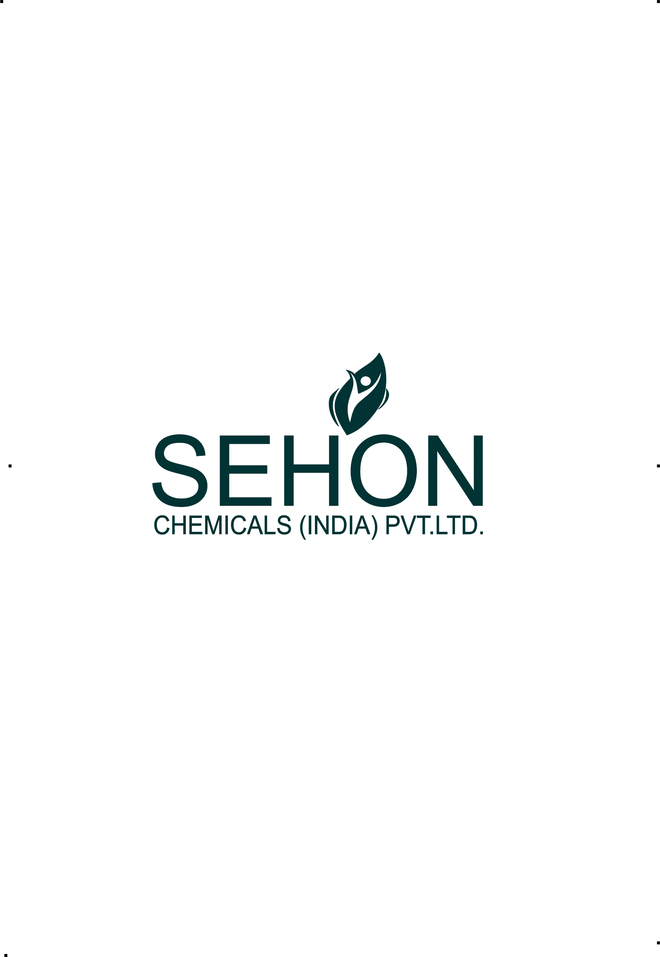 SEHON CHEMICALS INDIA  PVT LTD
